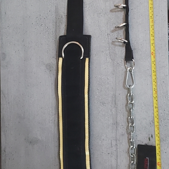 Weightbelt set - Picture 2 of 8